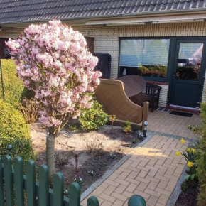 Haus-Strandhafer-Nr-3